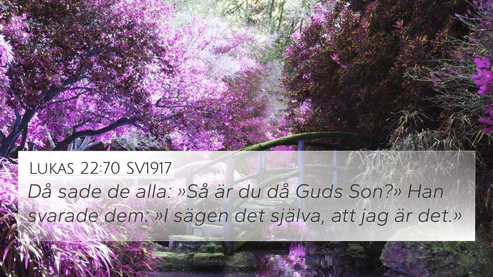 Lukas 22:70 SV1917 Bible Verse Image