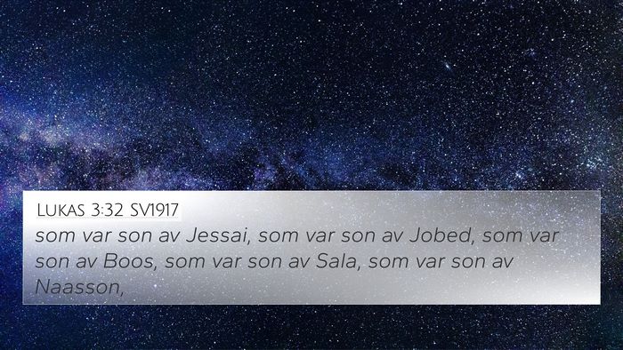 Lukas 3:32 SV1917 Bible Verse Image