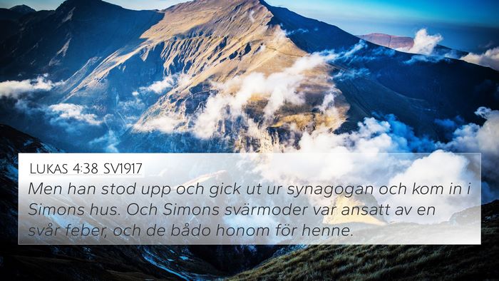 Lukas 4:38 SV1917 Bible Verse Image