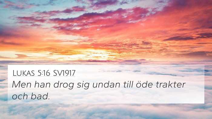 Lukas 5:16 SV1917 4K Wallpaper - Men han drog sig undan till öde trakter och - 4K Wallpaper Bible Verse