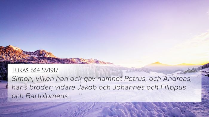 Lukas 6:14 SV1917 Bible Verse Image