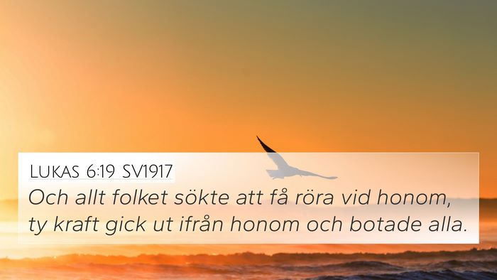 Lukas 6:19 SV1917 Bible Verse Image