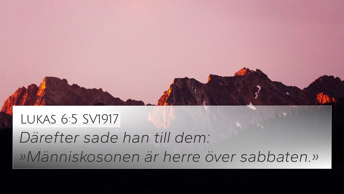 Lukas 6:5 SV1917 Bible Verse Image