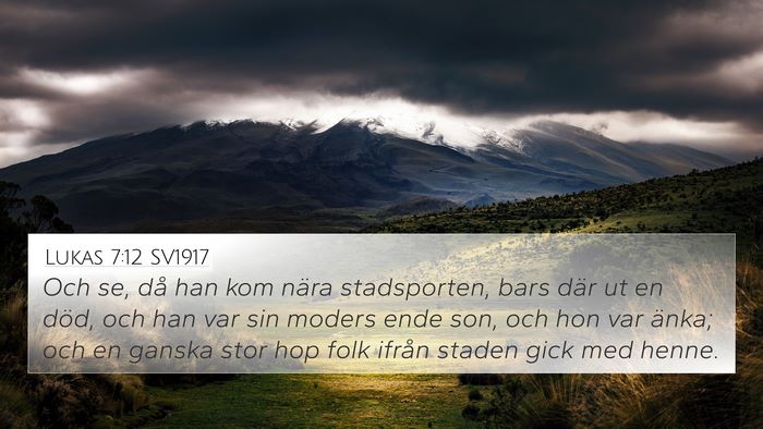 Lukas 7:12 SV1917 Bible Verse Image
