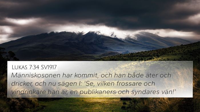 Lukas 7:34 SV1917 Bible Verse Image