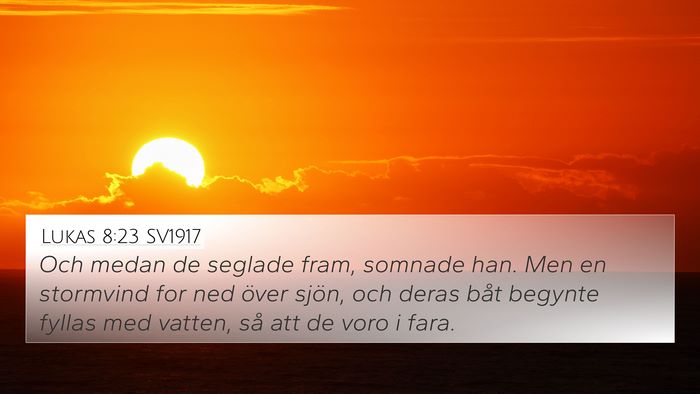 Lukas 8:23 SV1917 Bible Verse Image