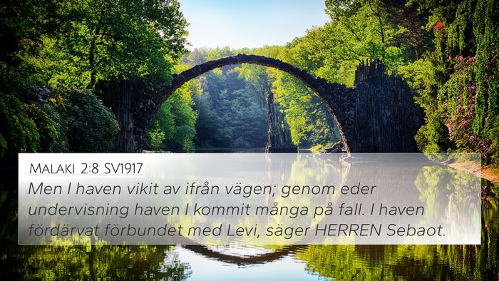 Malaki 2:8 SV1917 Bible Verse Image