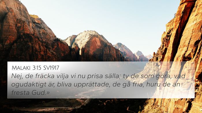 Malaki 3:15 SV1917 Bible Verse Image