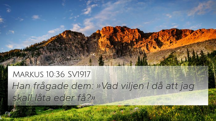 Markus 10:36 SV1917 Bible Verse Image