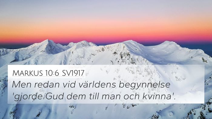 Markus 10:6 SV1917 Bible Verse Image