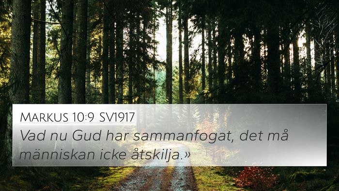 Markus 10:9 SV1917 4K Wallpaper - Vad nu Gud har sammanfogat, det må människan - 4K Wallpaper Bible Verse