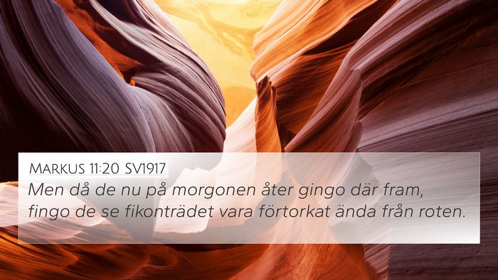 Markus 11:20 SV1917 Bible Verse Image