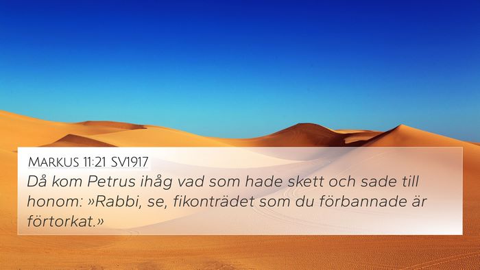 Markus 11:21 SV1917 4K Wallpaper - Då kom Petrus ihåg vad som hade skett och sade - 4K Wallpaper Bible Verse