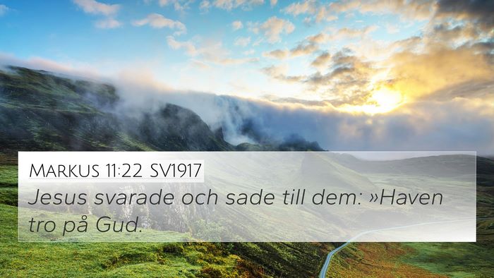 Markus 11:22 SV1917 Bible Verse Image