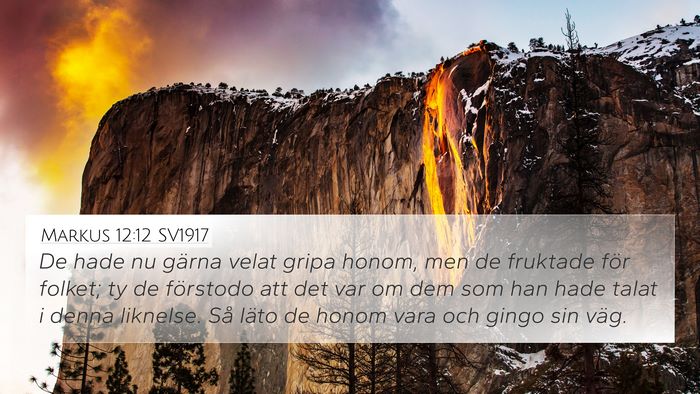 Markus 12:12 SV1917 Bible Verse Image