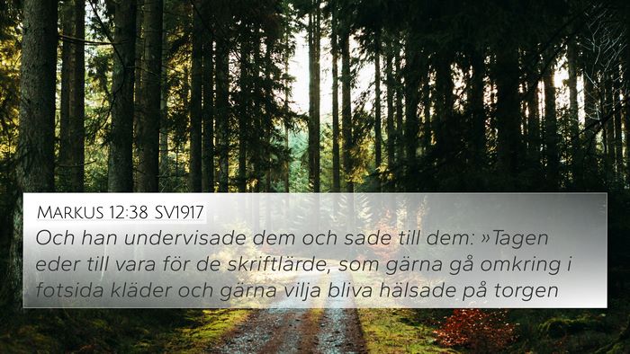 Markus 12:38 SV1917 Bible Verse Image