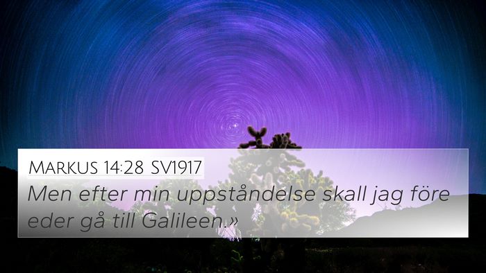 Markus 14:28 SV1917 Bible Verse Image