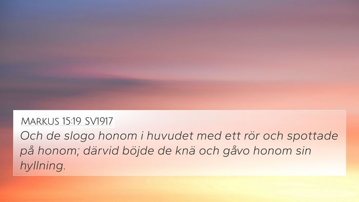 Markus 15:19 SV1917 Bible Verse Image