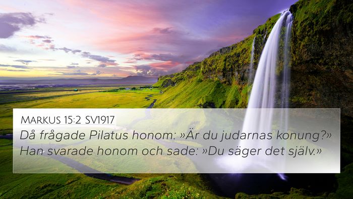 Markus 15:2 SV1917 Bible Verse Image