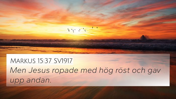 Markus 15:37 SV1917 Bible Verse Image