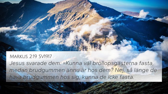 Markus 2:19 SV1917 4K Wallpaper - Jesus svarade dem: »Kunna väl - 4K Wallpaper Bible Verse