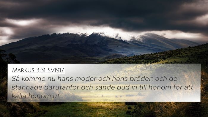 Markus 3:31 SV1917 Bible Verse Image