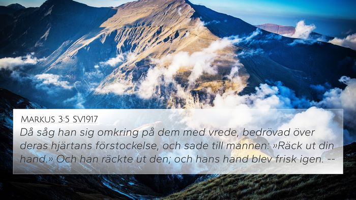 Markus 3:5 SV1917 Bible Verse Image
