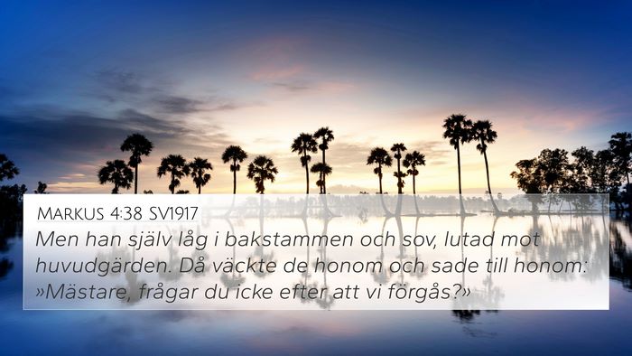 Markus 4:38 SV1917 Bible Verse Image