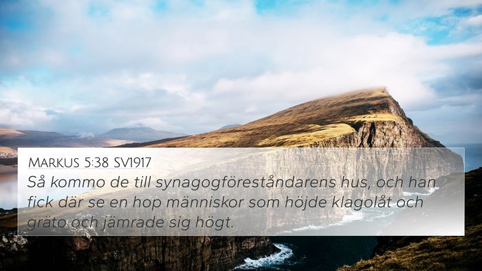 Markus 5:38 SV1917 Bible Verse Image
