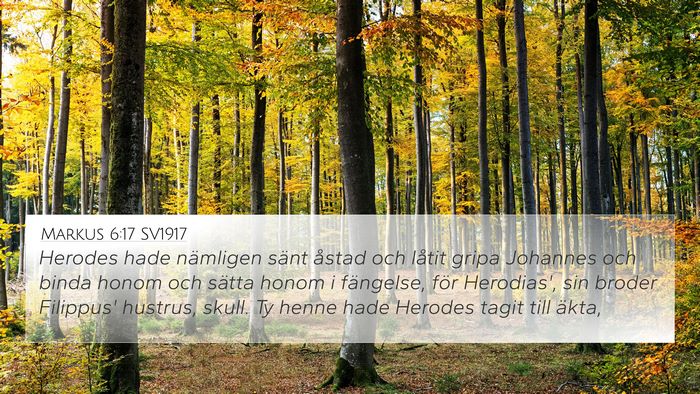 Markus 6:17 SV1917 Bible Verse Image