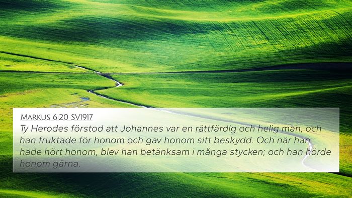 Markus 6:20 SV1917 Bible Verse Image