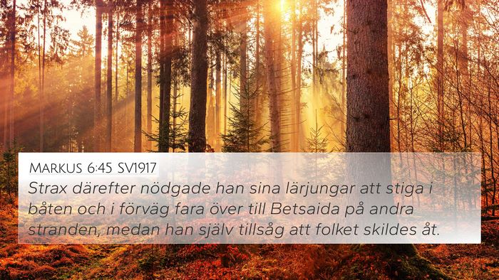 Markus 6:45 SV1917 Bible Verse Image