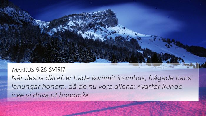 Markus 9:28 SV1917 Bible Verse Image