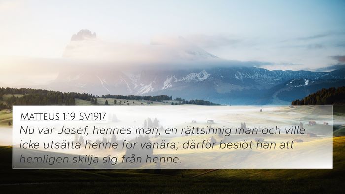 Matteus 1:19 SV1917 Bible Verse Image