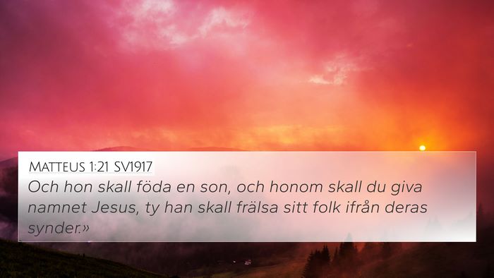 Matteus 1:21 SV1917 Bible Verse Image