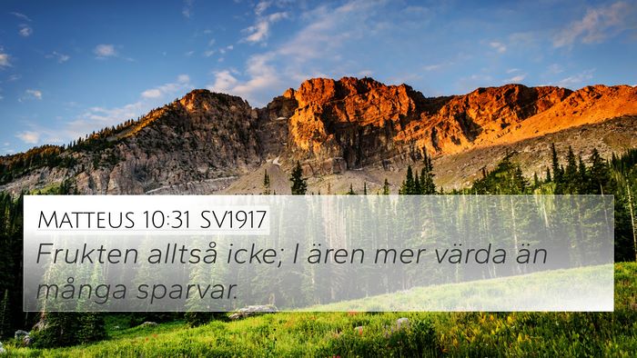 Matteus 10:31 SV1917 Bible Verse Image