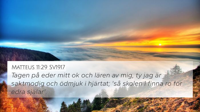 Matteus 11:29 SV1917 Bible Verse Image
