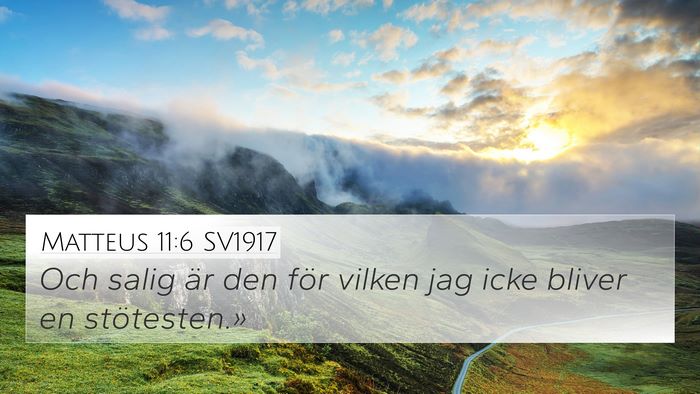 Matteus 11:6 SV1917 Bible Verse Image