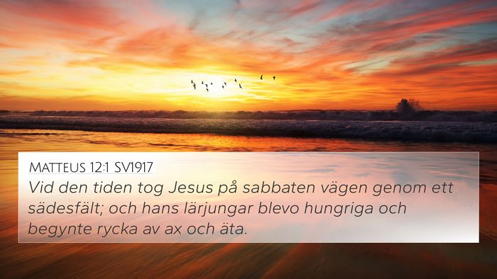 Matteus 12:1 SV1917 Bible Verse Image