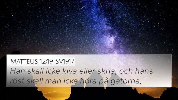 Matteus 12:19 SV1917 Bible Verse Image