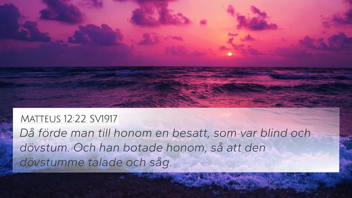 Matteus 12:22 SV1917 Bible Verse Image