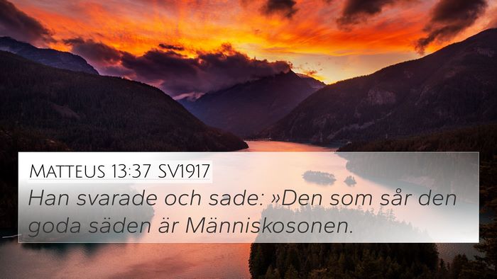 Matteus 13:37 SV1917 Bible Verse Image