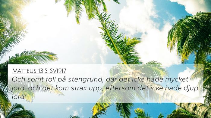 Matteus 13:5 SV1917 Bible Verse Image