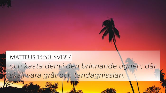 Matteus 13:50 SV1917 Bible Verse Image