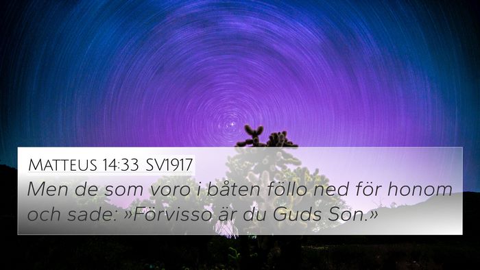 Matteus 14:33 SV1917 Bible Verse Image