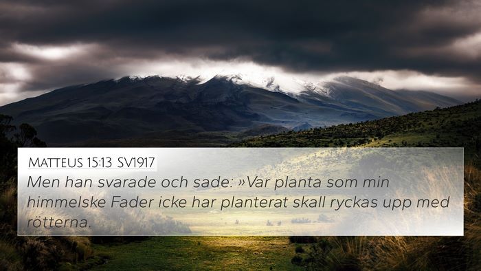 Matteus 15:13 SV1917 Bible Verse Image