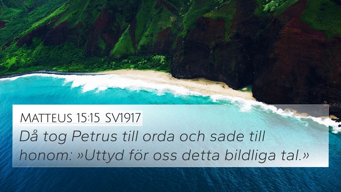 Matteus 15:15 SV1917 Bible Verse Image