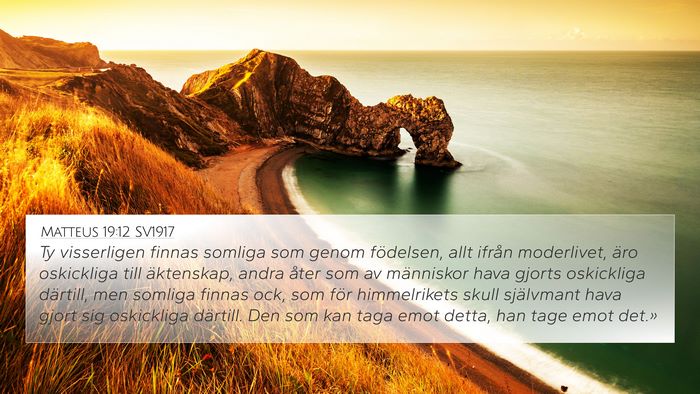 Matteus 19:12 SV1917 Bible Verse Image