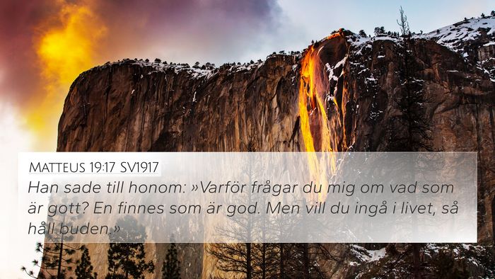 Matteus 19:17 SV1917 Bible Verse Image