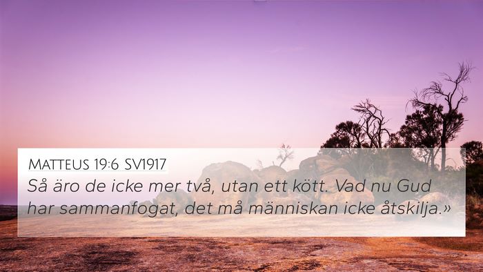 Matteus 19:6 SV1917 Bible Verse Image
